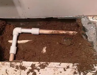 普安测漏水哪家好