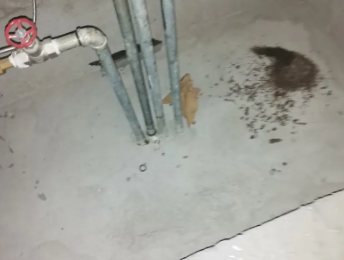 普安卫生间测漏水价格明细